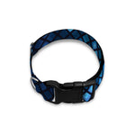 Blue Disco Lights Pattern Print Dog Collar