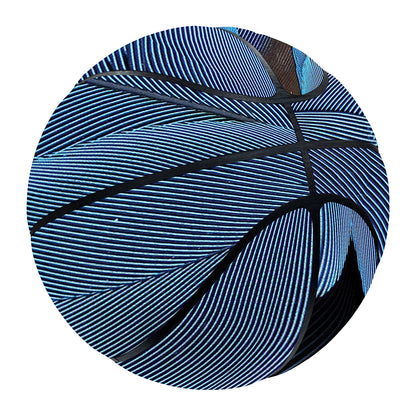 Blue Feather Print Basketball