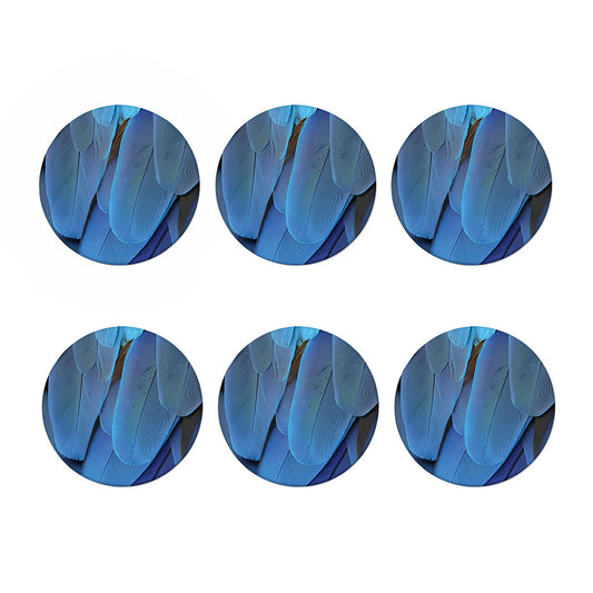 Blue Feather Print Coaster Set