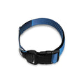 Blue Feather Print Dog Collar