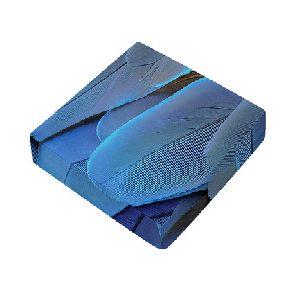 Blue Feather Print Outdoor Seat Cushion Cover