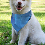 Blue Feather Print Over The Collar Dog Bandana