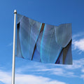 Blue Feather Print Polyester Flag