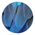 Blue Feather Print Round Blanket