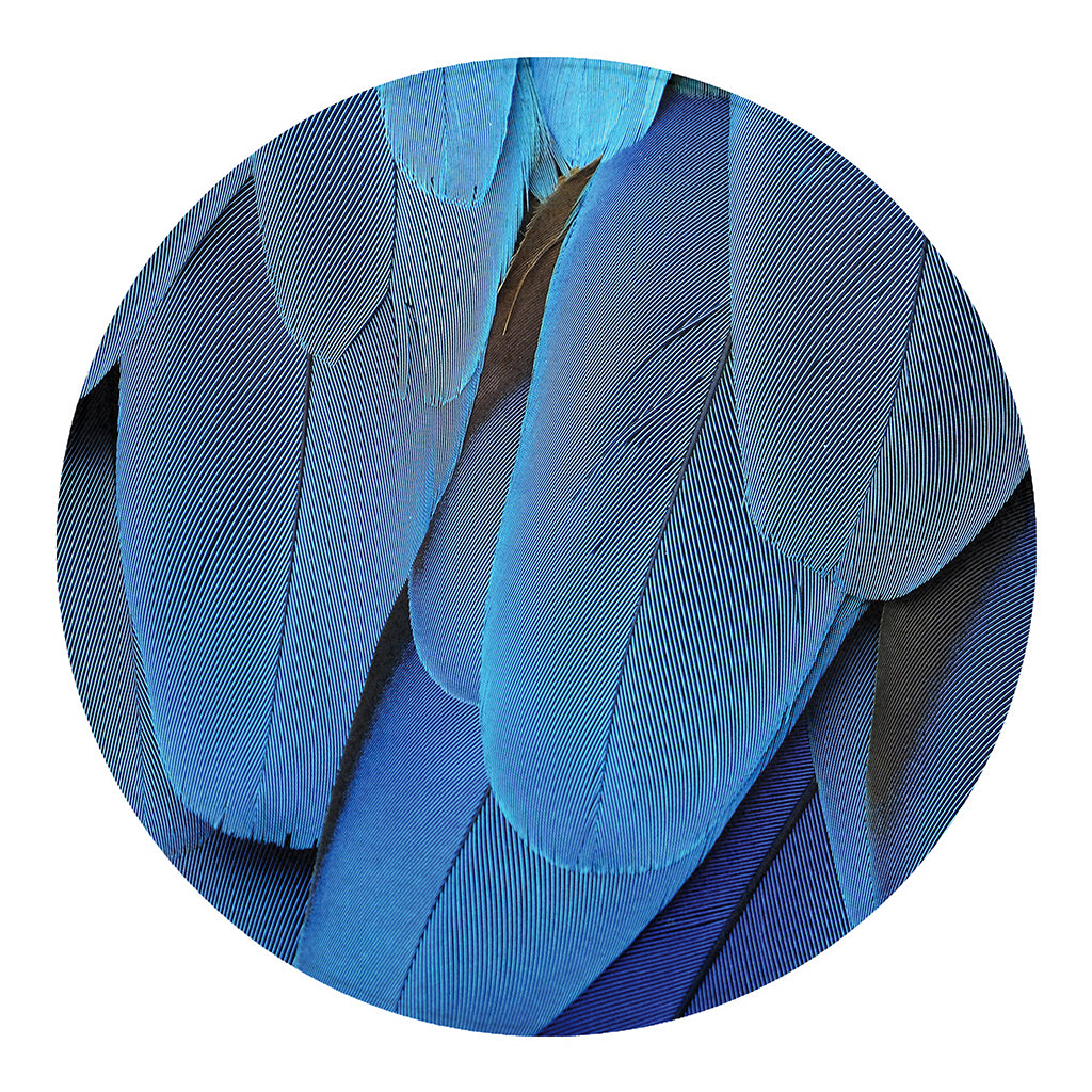 Blue Feather Print Round Blanket