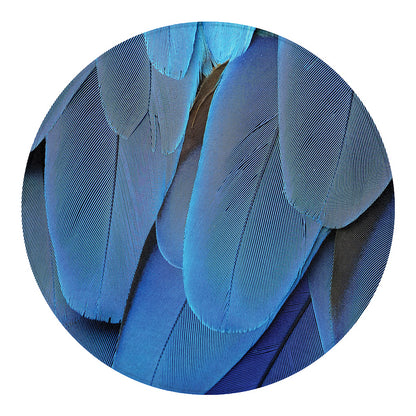 Blue Feather Print Round Blanket