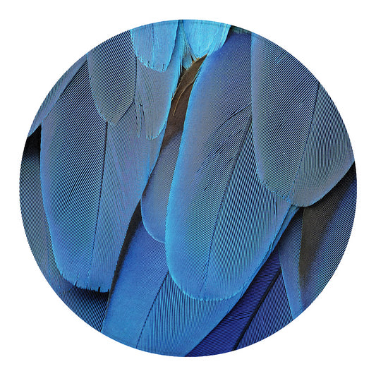 Blue Feather Print Round Blanket