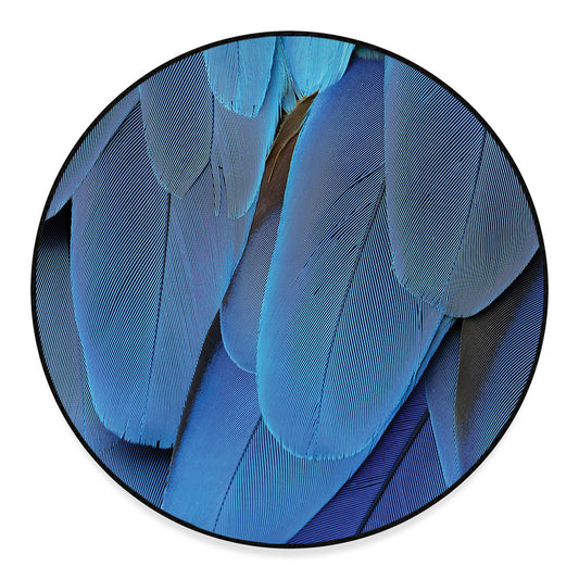 Blue Feather Print Round Floor Mat