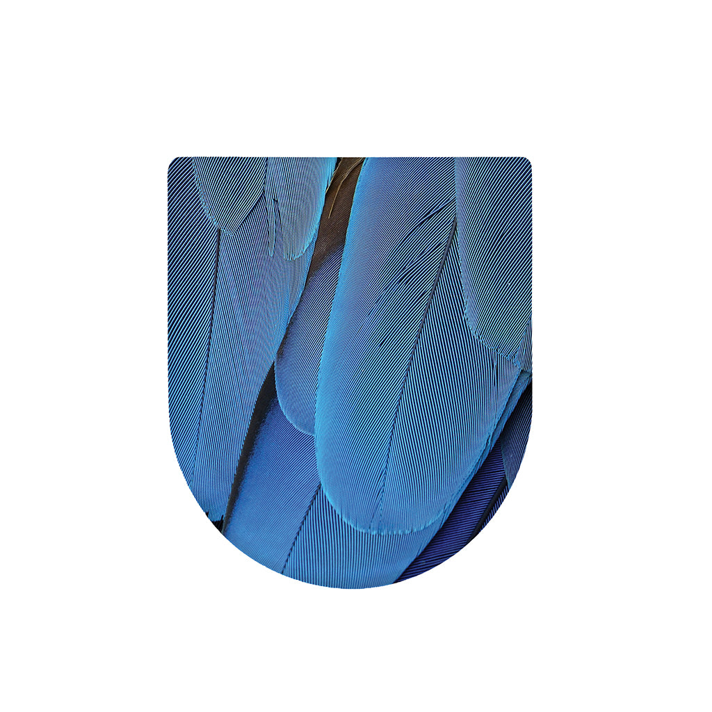 Blue Feather Print Toilet Lid Cover