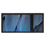 Blue Feather Print Trifold Wallet