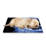Blue Flaming Skull Print Pet Cooling Mat Cover