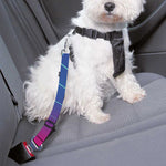 Blue Geometric EDM Light Print Dog Seat Belt