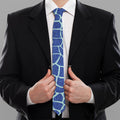 Blue Giraffe Print Necktie