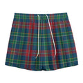 Blue Green And Red Scottish Plaid Print Mesh Shorts