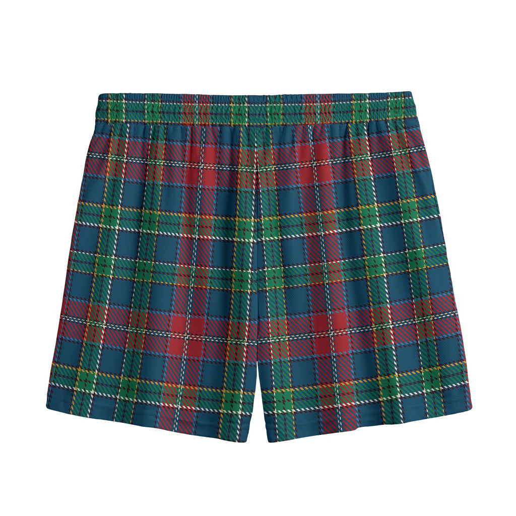 Blue Green And Red Scottish Plaid Print Mesh Shorts