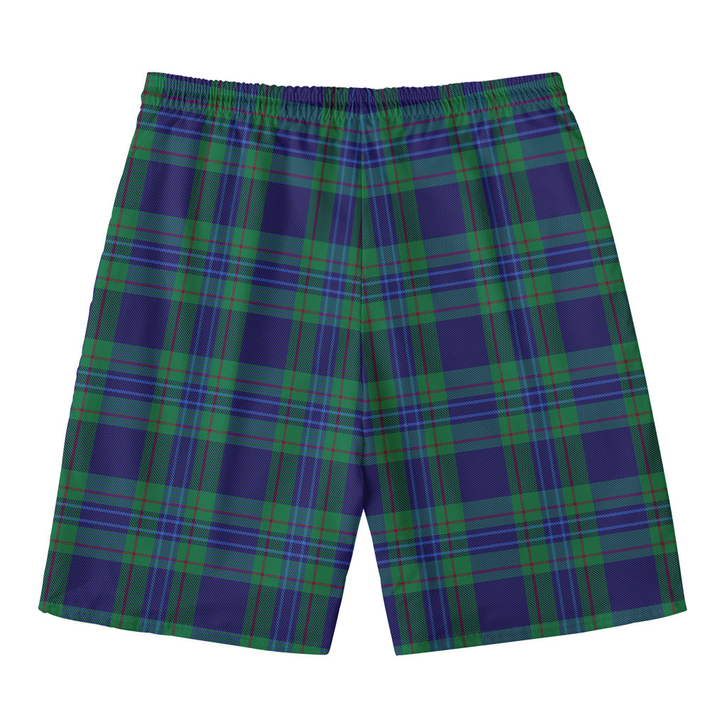 Blue Green And Red Tartan Pattern Print Men's Swim Trunks
