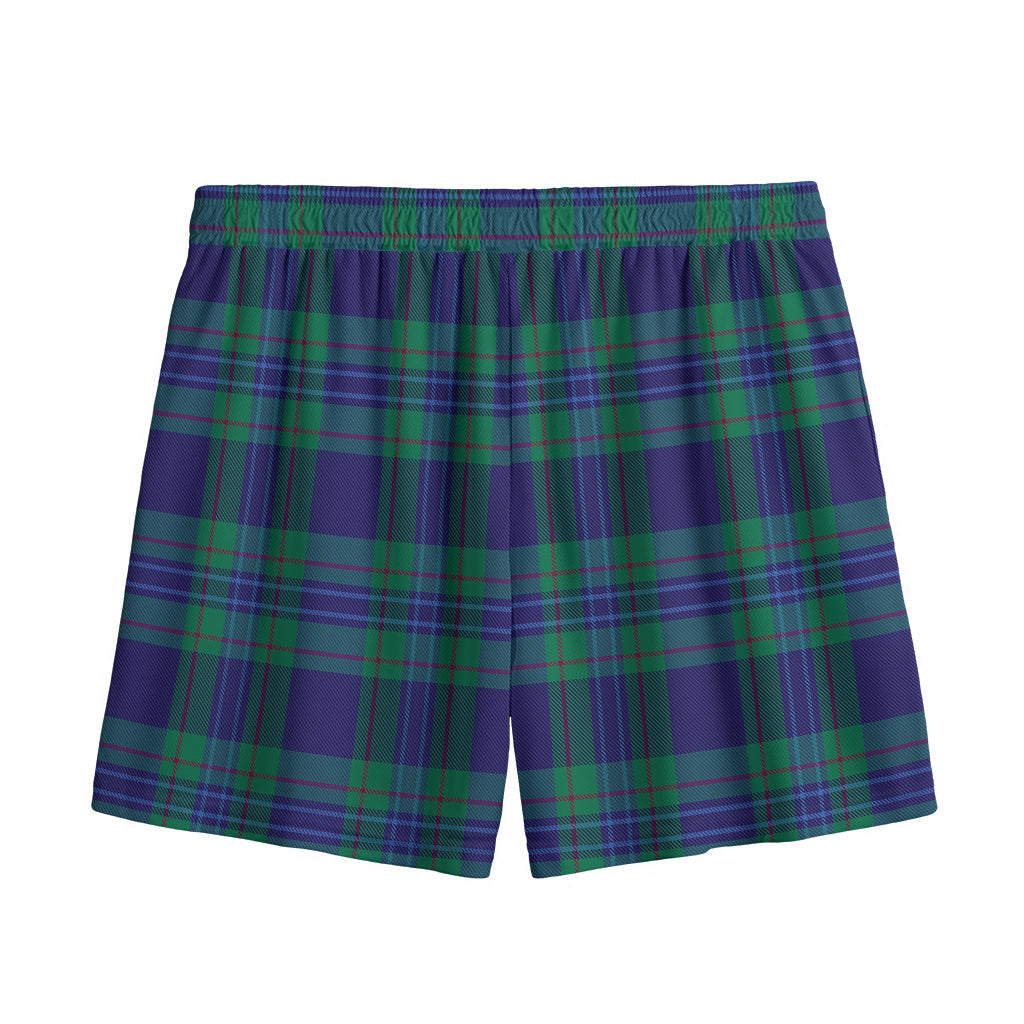Blue Green And Red Tartan Pattern Print Mesh Shorts