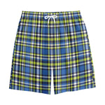 Blue Green And White Plaid Pattern Print Cotton Shorts
