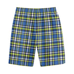 Blue Green And White Plaid Pattern Print Cotton Shorts