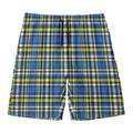 Blue Green And White Plaid Pattern Print Men's Swim Trunks