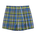 Blue Green And White Plaid Pattern Print Mesh Shorts