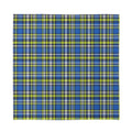 Blue Green And White Plaid Pattern Print Silk Bandana