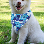 Blue Hibiscus Tropical Pattern Print Over The Collar Dog Bandana