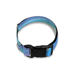 Blue Holographic Print Dog Collar