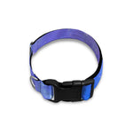 Blue Light Nebula Galaxy Space Print Dog Collar