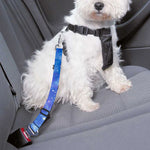 Blue Light Nebula Galaxy Space Print Dog Seat Belt