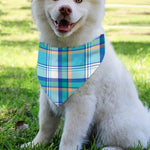 Blue Madras Pattern Print Over The Collar Dog Bandana