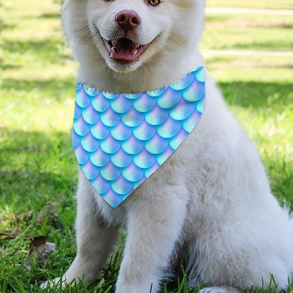 Blue Neon Mermaid Scales Pattern Print Over The Collar Dog Bandana