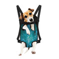 Blue Neurons In The Brain Print Pet Carrier Backpack