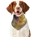 Blue Orange Stardust Galaxy Space Print Dog Bandana