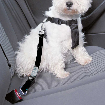 Blue Peony And Grey Rose Floral Print Dog Seat Belt