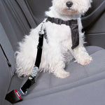 Blue Peony And Grey Rose Floral Print Dog Seat Belt