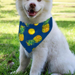 Blue Pineapple Pattern Print Over The Collar Dog Bandana
