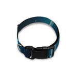 Blue Pisces Zodiac Sign Print Dog Collar