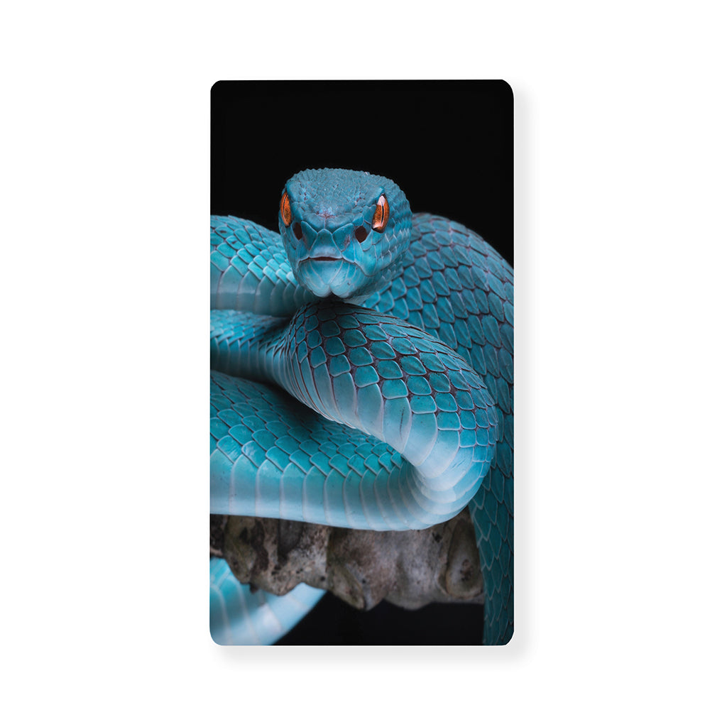 Blue Pit Viper Snake Print Baby Crib Sheet