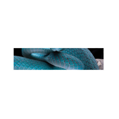 Blue Pit Viper Snake Print Bed Runner