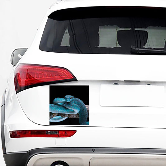 Blue Pit Viper Snake Print Car Sticker