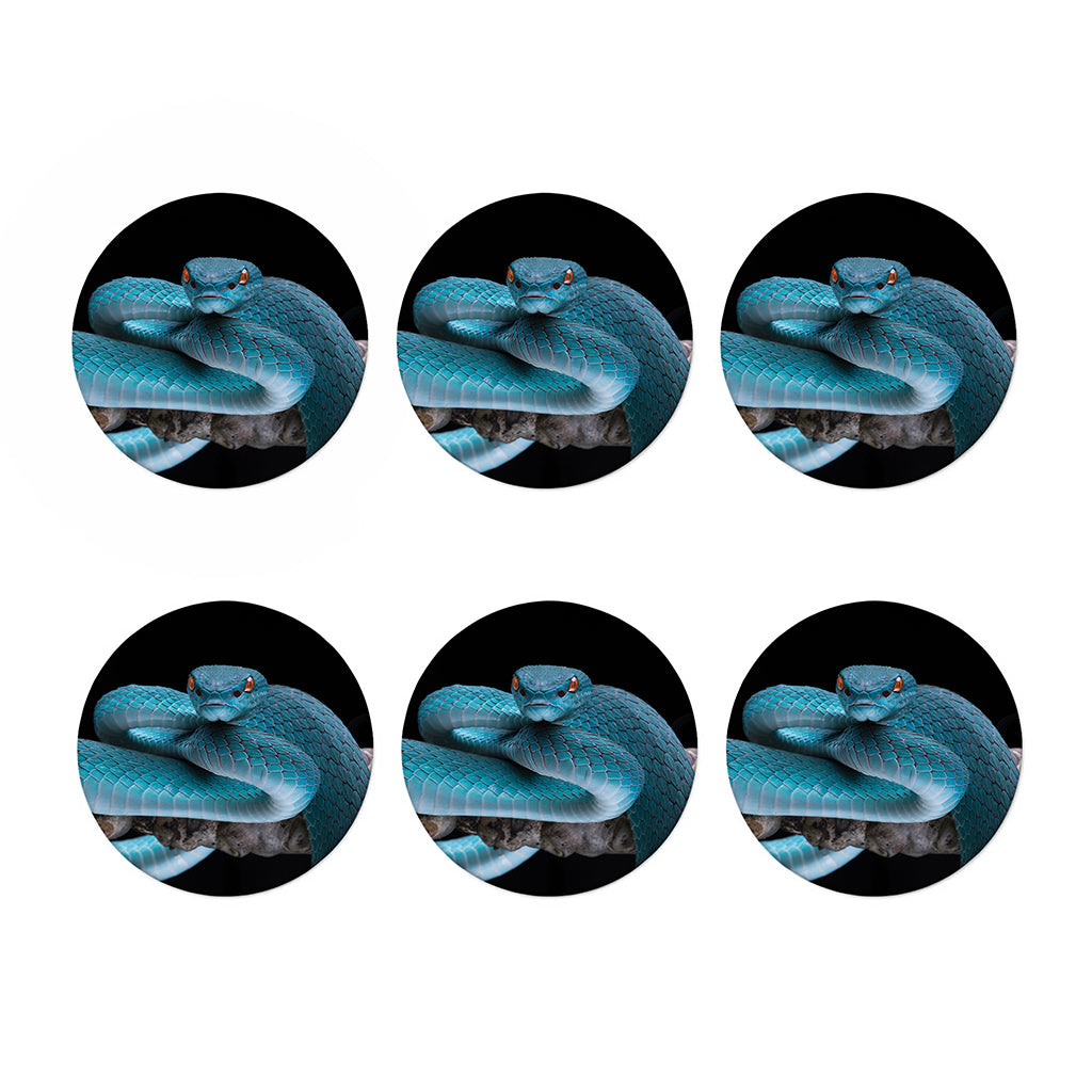Blue Pit Viper Snake Print Coaster Set