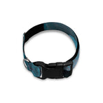 Blue Pit Viper Snake Print Dog Collar