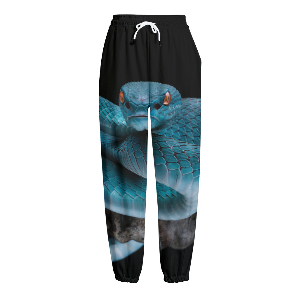 Blue Pit Viper Snake Print Fleece Lined Knit Pants