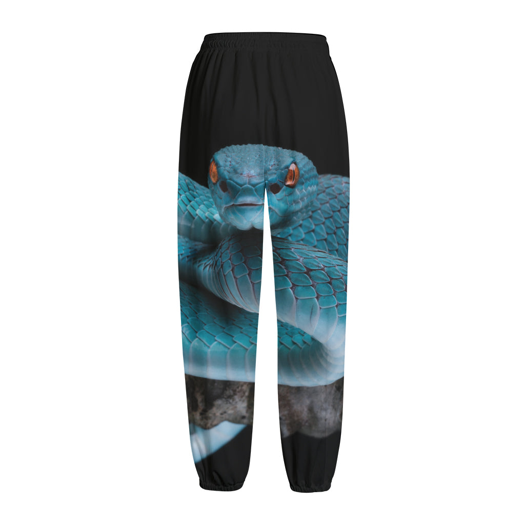 Blue Pit Viper Snake Print Fleece Lined Knit Pants