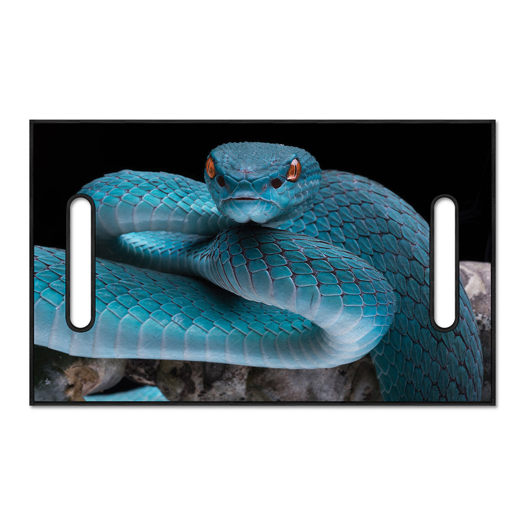Blue Pit Viper Snake Print Golf Cart Seat Cover