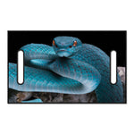 Blue Pit Viper Snake Print Golf Cart Seat Cover