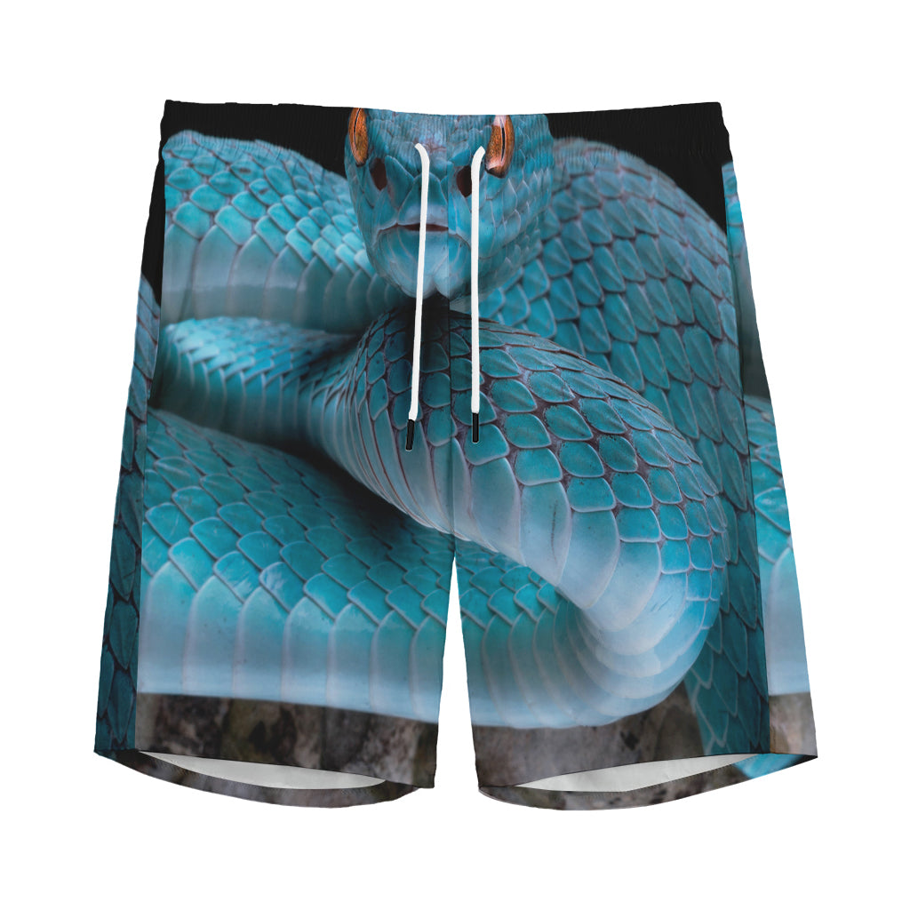 Blue Pit Viper Snake Print Men's Sports Shorts