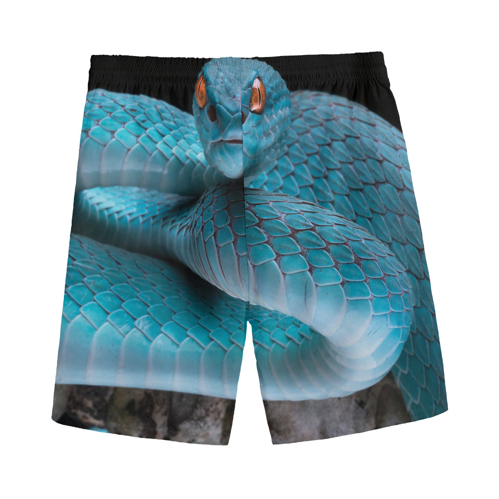 Blue Pit Viper Snake Print Men's Sports Shorts