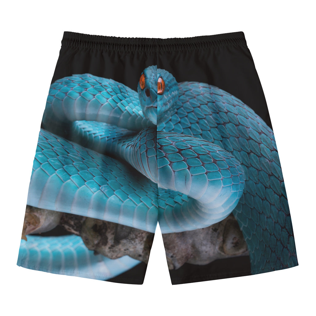Blue Pit Viper Snake Print Men's Swim Trunks